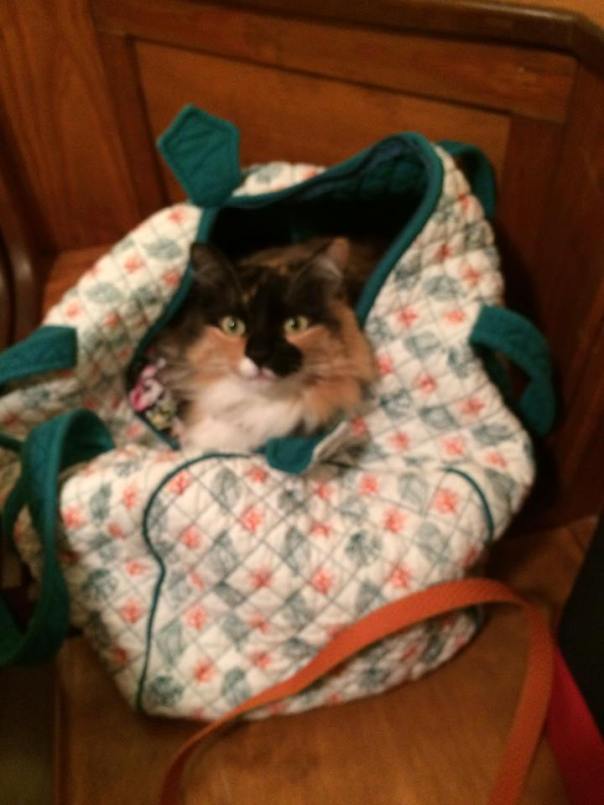 janie 40 sprite in the bag